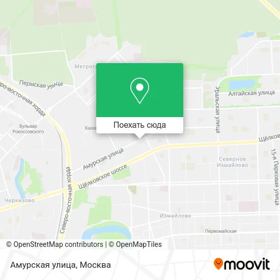 Карта Амурская улица