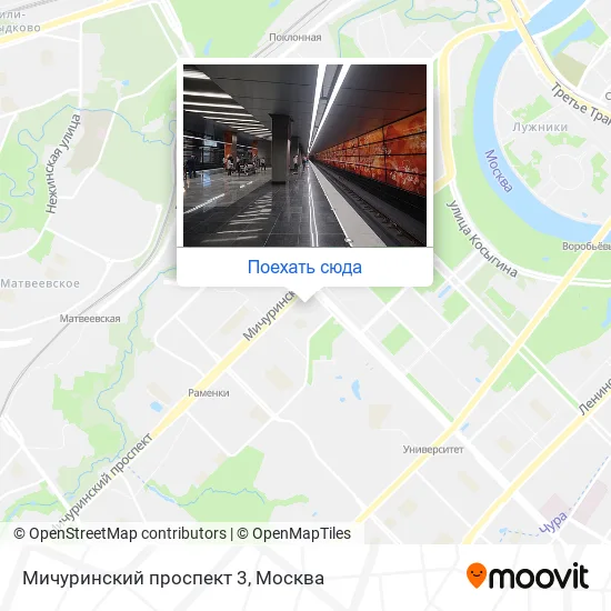Карта Мичуринский проспект 3