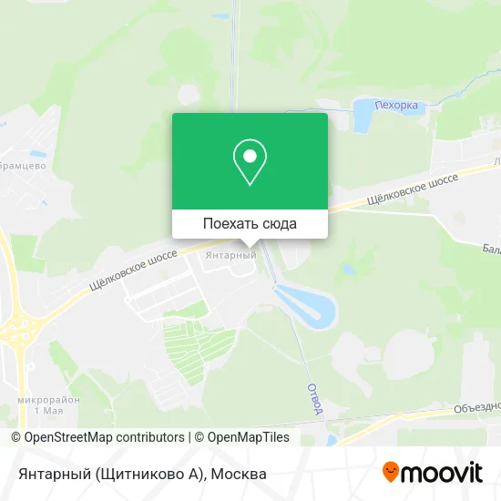 Карта Янтарный (Щитниково А)