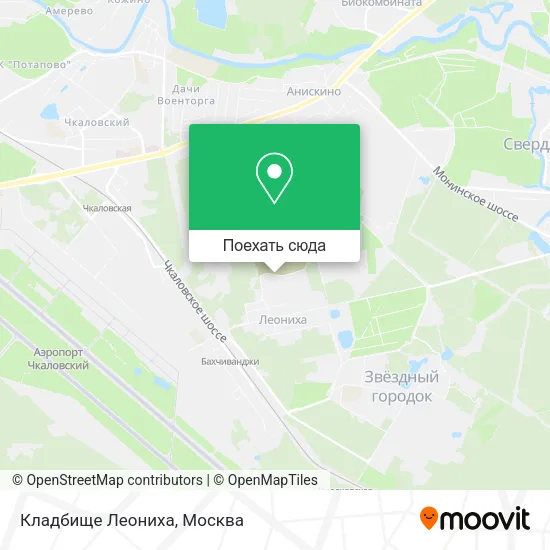 Карта Кладбище Леониха
