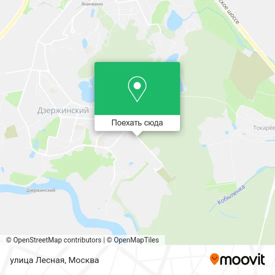 Карта улица Лесная