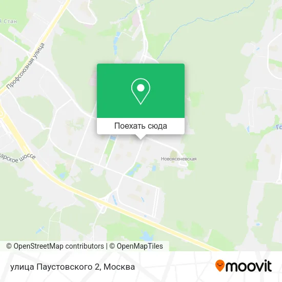 Карта улица Паустовского 2