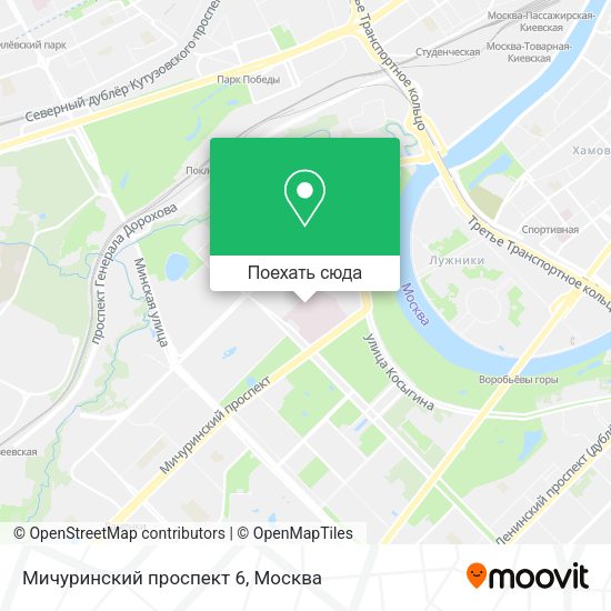 Карта Мичуринский проспект 6