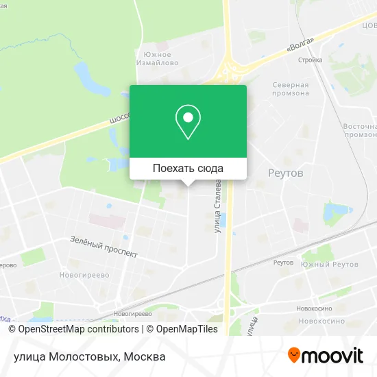 Карта улица Молостовых