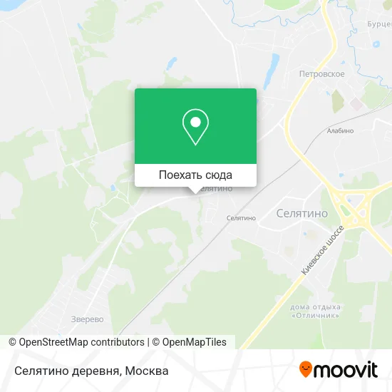 Карта Селятино деревня