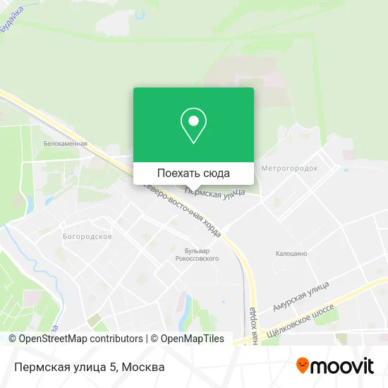 Карта Пермская улица 5