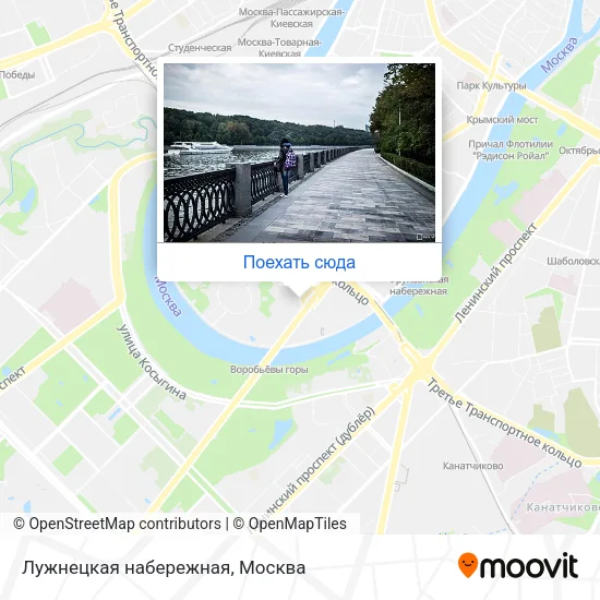 Карта Лужнецкая набережная