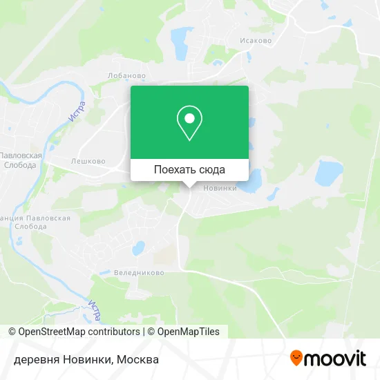Карта деревня Новинки
