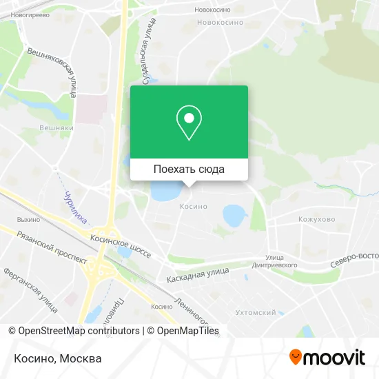Карта Косино