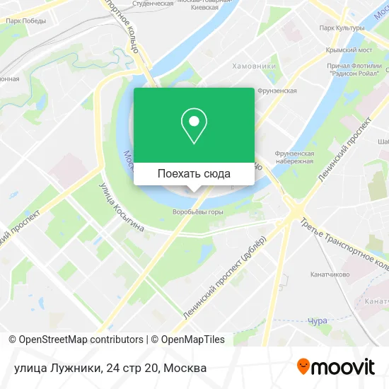 Карта улица Лужники, 24 стр 20