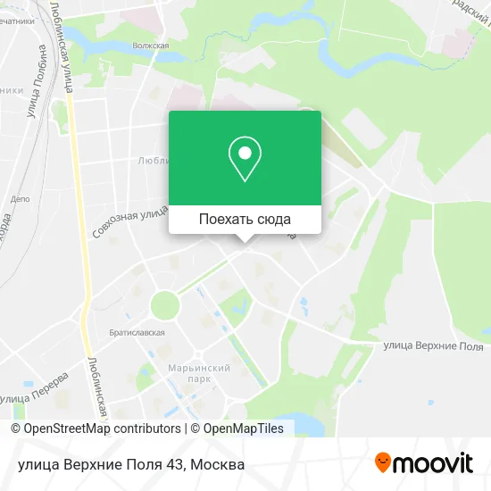 Карта улица Верхние Поля 43