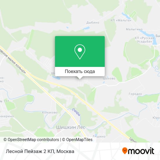 Карта Лесной Пейзаж 2 КП