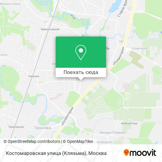 Карта Костомаровская улица (Клязьма)