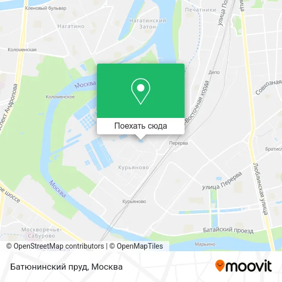Карта Батюнинский пруд