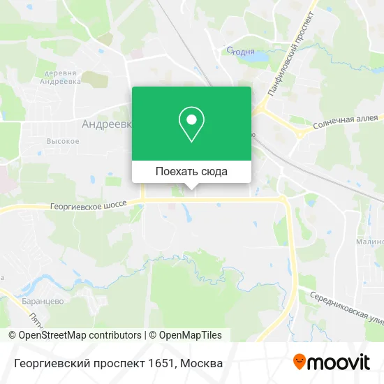 Карта Георгиевский проспект 1651