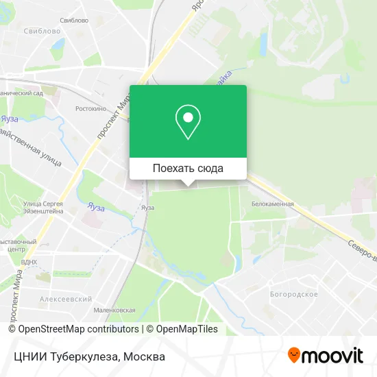 Карта ЦНИИ Туберкулеза