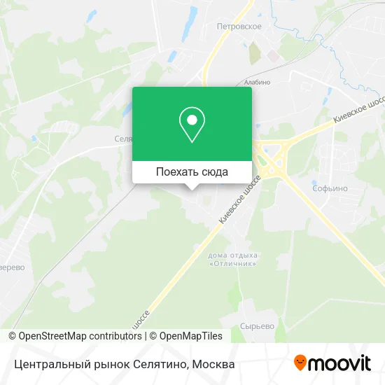 Карта Центральный рынок Селятино