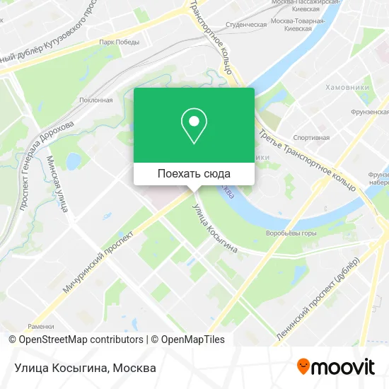 Карта Улица Косыгина