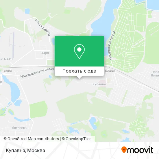 Карта Купавна