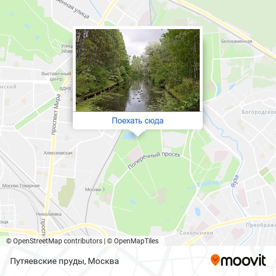 Карта Путяевские пруды