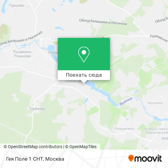 Карта Гея Поле 1 СНТ
