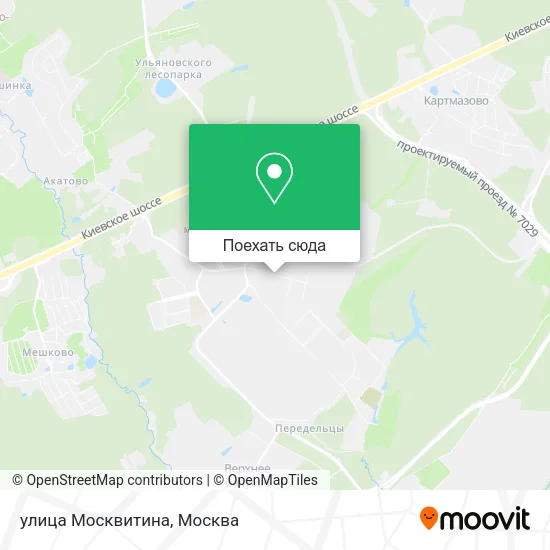 Карта улица Москвитина