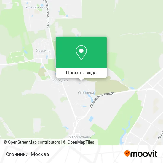 Карта Сгонники