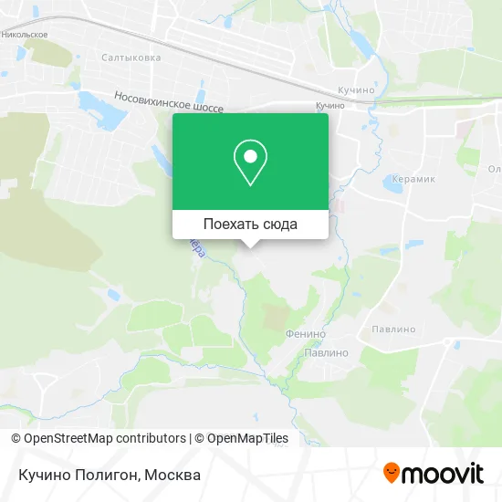 Карта Кучино Полигон