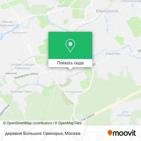 Карта деревня Большое Свинорье