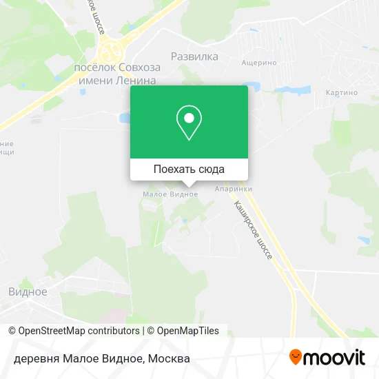 Карта деревня Малое Видное