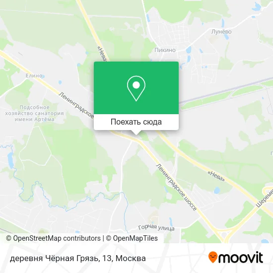 Карта деревня Чёрная Грязь, 13
