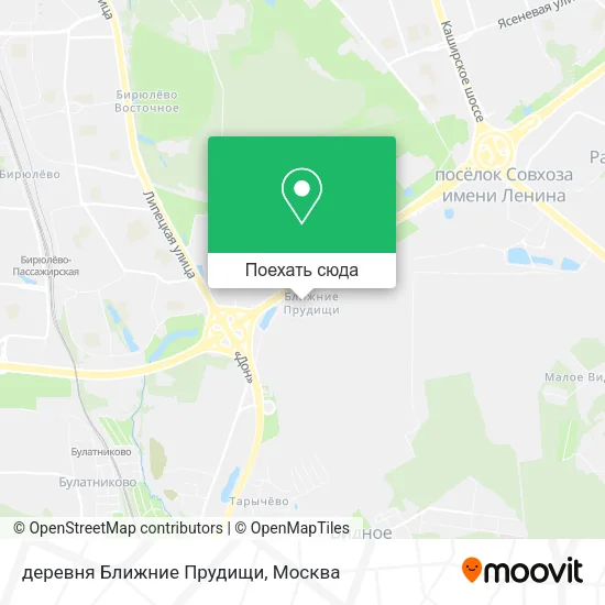 Карта деревня Ближние Прудищи