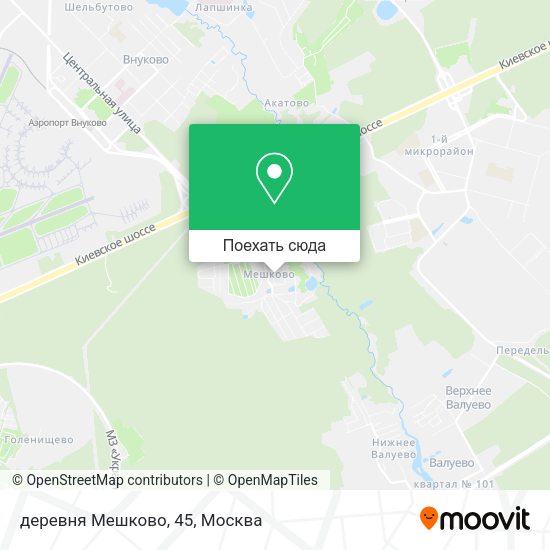 Карта деревня Мешково, 45