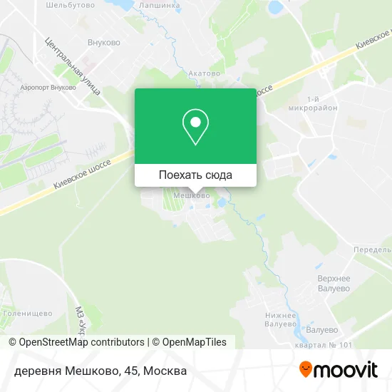Карта деревня Мешково, 45