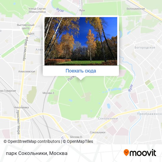 Парк Сокольники в Москве