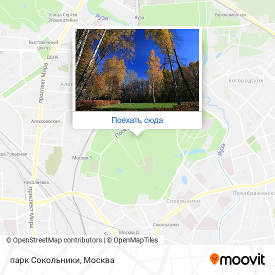 Карта парк Сокольники