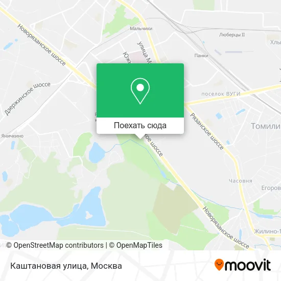 Карта Каштановая улица