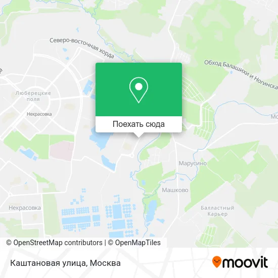 Карта Каштановая улица