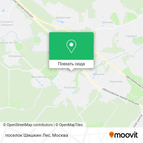 Карта поселок Шишкин Лес