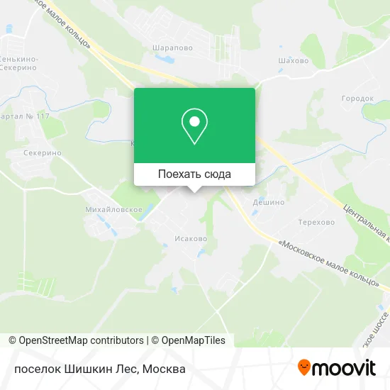 Карта поселок Шишкин Лес