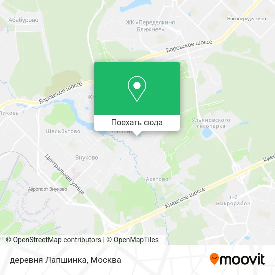 Карта деревня Лапшинка