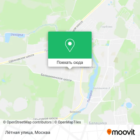 Карта Лётная улица