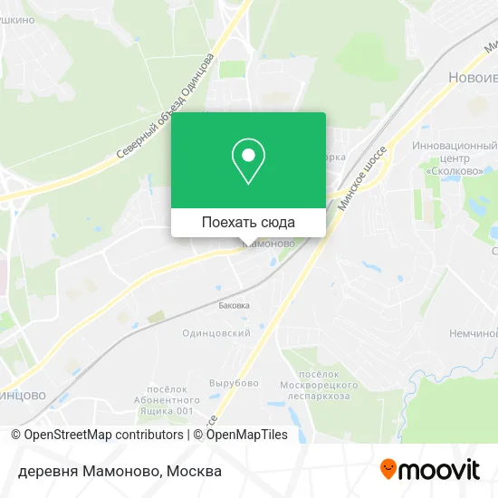 Карта деревня Мамоново