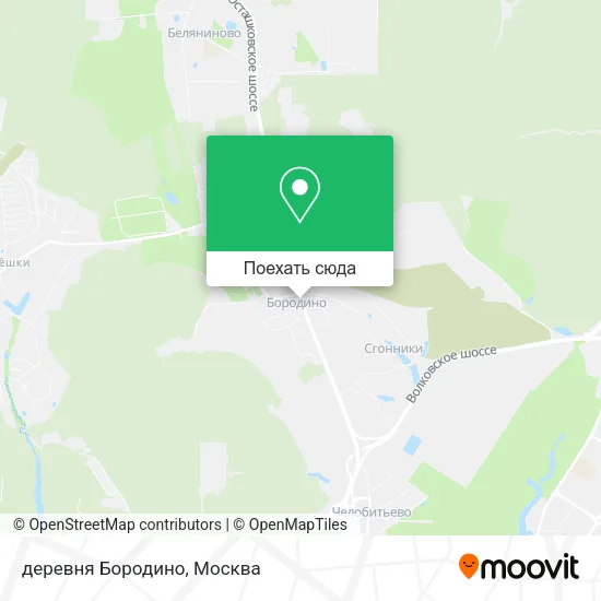 Карта деревня Бородино
