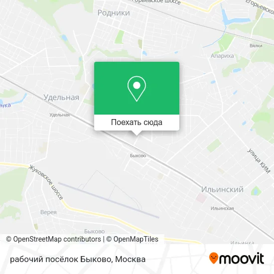 Карта рабочий посёлок Быково
