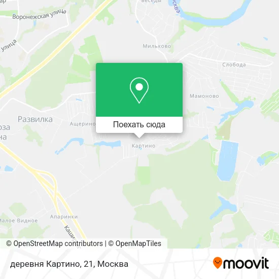 Карта деревня Картино, 21