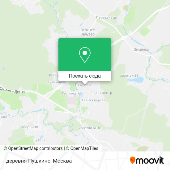 Карта деревня Пушкино