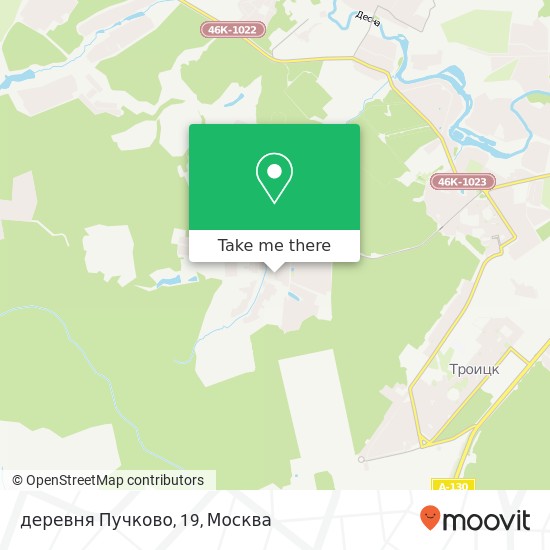 Карта деревня Пучково, 19
