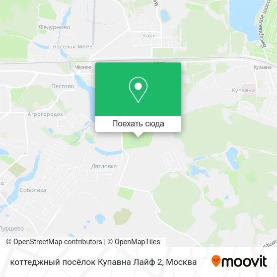 Карта коттеджный посёлок Купавна Лайф 2