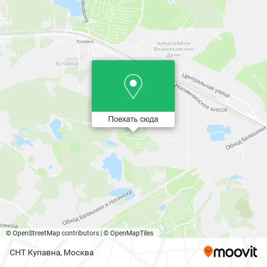 Карта СНТ Купавна
